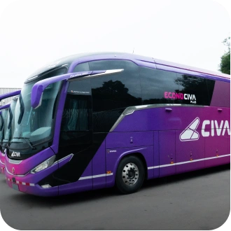 Bus Image 1