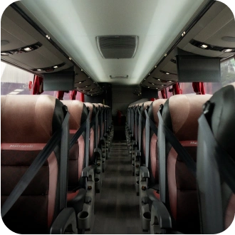 Bus Image 3