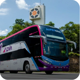 Bus Image 1